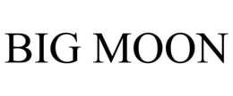 BIG MOON trademark