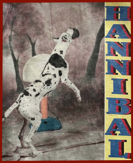 HANNIBAL trademark