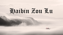 HAIBIN ZOU LU trademark
