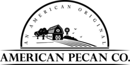 AMERICAN PECAN CO. AN AMERICAN ORIGINAL trademark