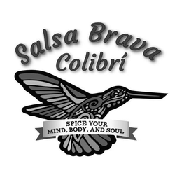 SALSA BRAVA COLIBRÍ SPICE YOUR MIND, BODY, AND SOUL trademark