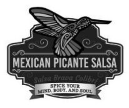MEXICAN PICANTE SALSA SALSA BRAVA COLIBRÍ SPICE YOUR MIND, BODY, AND SOUL trademark