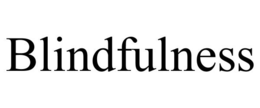 BLINDFULNESS trademark