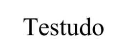 TESTUDO trademark