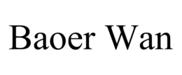 BAOER WAN trademark