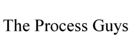 THE PROCESS GUYS trademark