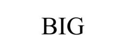 BIG trademark