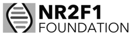 NR2F1 FOUNDATION trademark