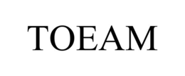 TOEAM trademark