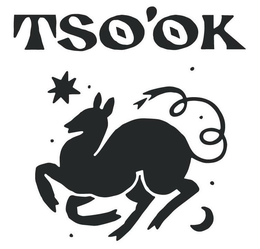TSO'OK trademark