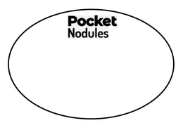 POCKET NODULES trademark
