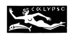 CALYPSO trademark
