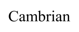 CAMBRIAN trademark
