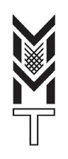 MMT trademark