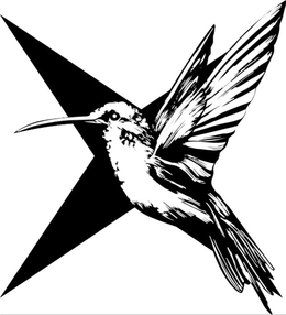 X trademark