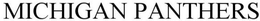 MICHIGAN PANTHERS trademark