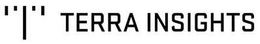 T TERRA INSIGHTS trademark