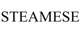 STEAMESE trademark