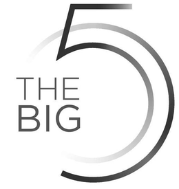 THE BIG 5 trademark