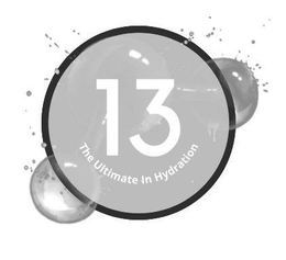 13 THE ULTIMATE IN HYDRATION trademark