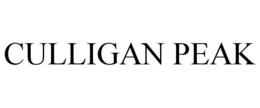 CULLIGAN PEAK trademark