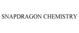 SNAPDRAGON CHEMISTRY trademark