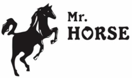 MR. HORSE trademark