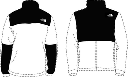 THE NORTH FACE THE NORTH FACE trademark