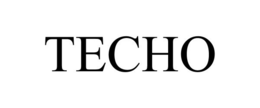 TECHO trademark