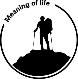 MEANING OF LIFE trademark