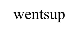 WENTSUP trademark