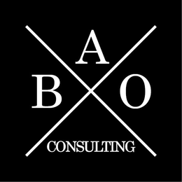X BAO CONSULTING trademark