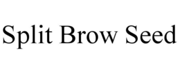 SPLIT BROW SEED trademark