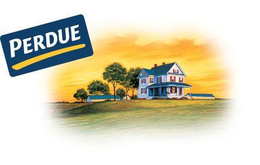PERDUE trademark