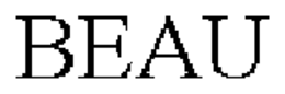 BEAU trademark