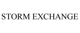 STORM EXCHANGE trademark