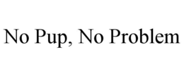 NO PUP, NO PROBLEM trademark