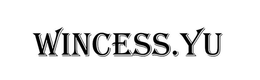 WINCESS.YU trademark