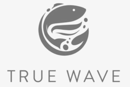 TRUE WAVE trademark