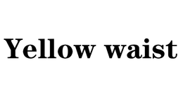 YELLOW WAIST trademark