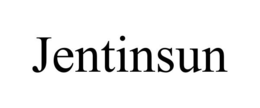 JENTINSUN trademark