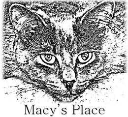 MACY'S PLACE trademark