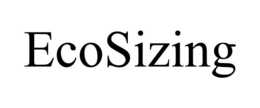 ECOSIZING trademark