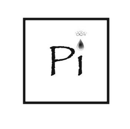 PI trademark
