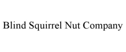 BLIND SQUIRREL NUT COMPANY trademark