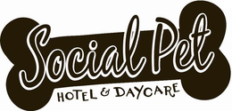SOCIAL PET HOTEL & DAYCARE trademark