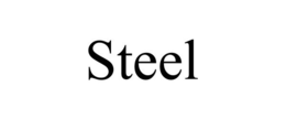 STEEL trademark