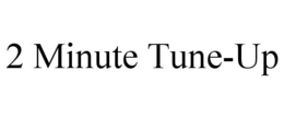 2 MINUTE TUNE-UP trademark