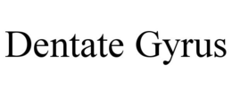 DENTATE GYRUS trademark