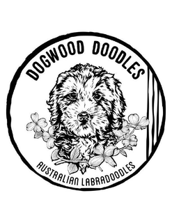 DOGWOOD DOODLES AUSTRALIAN LABRADOODLES trademark